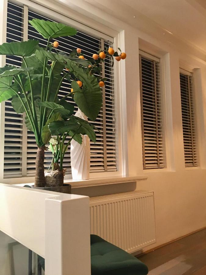 Vakantiehuis De Zeeparel Zandvoort Luaran gambar